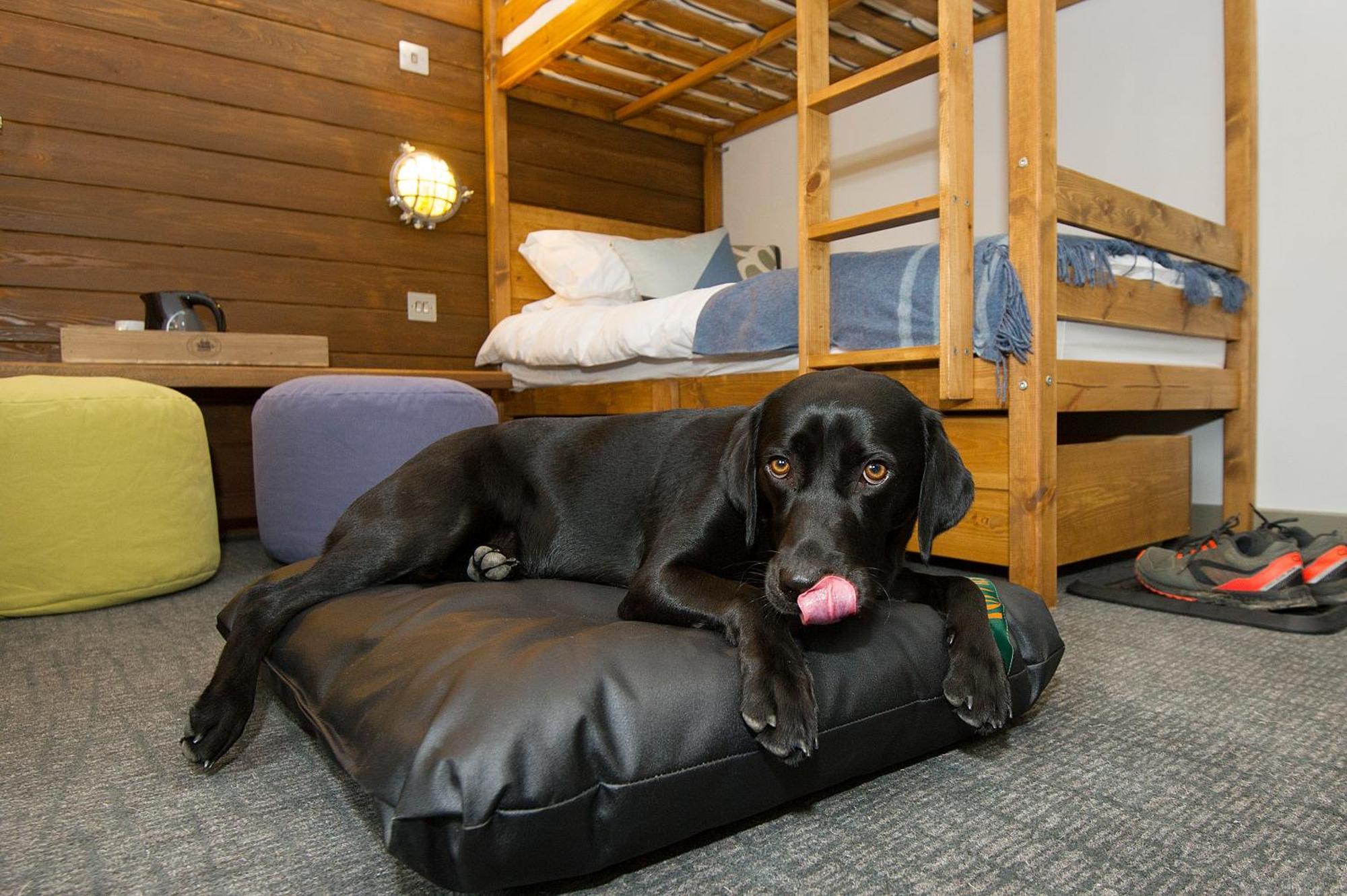 Lock Chambers, Caledonian Canal Centre フォート・オーガスタス 部屋 写真