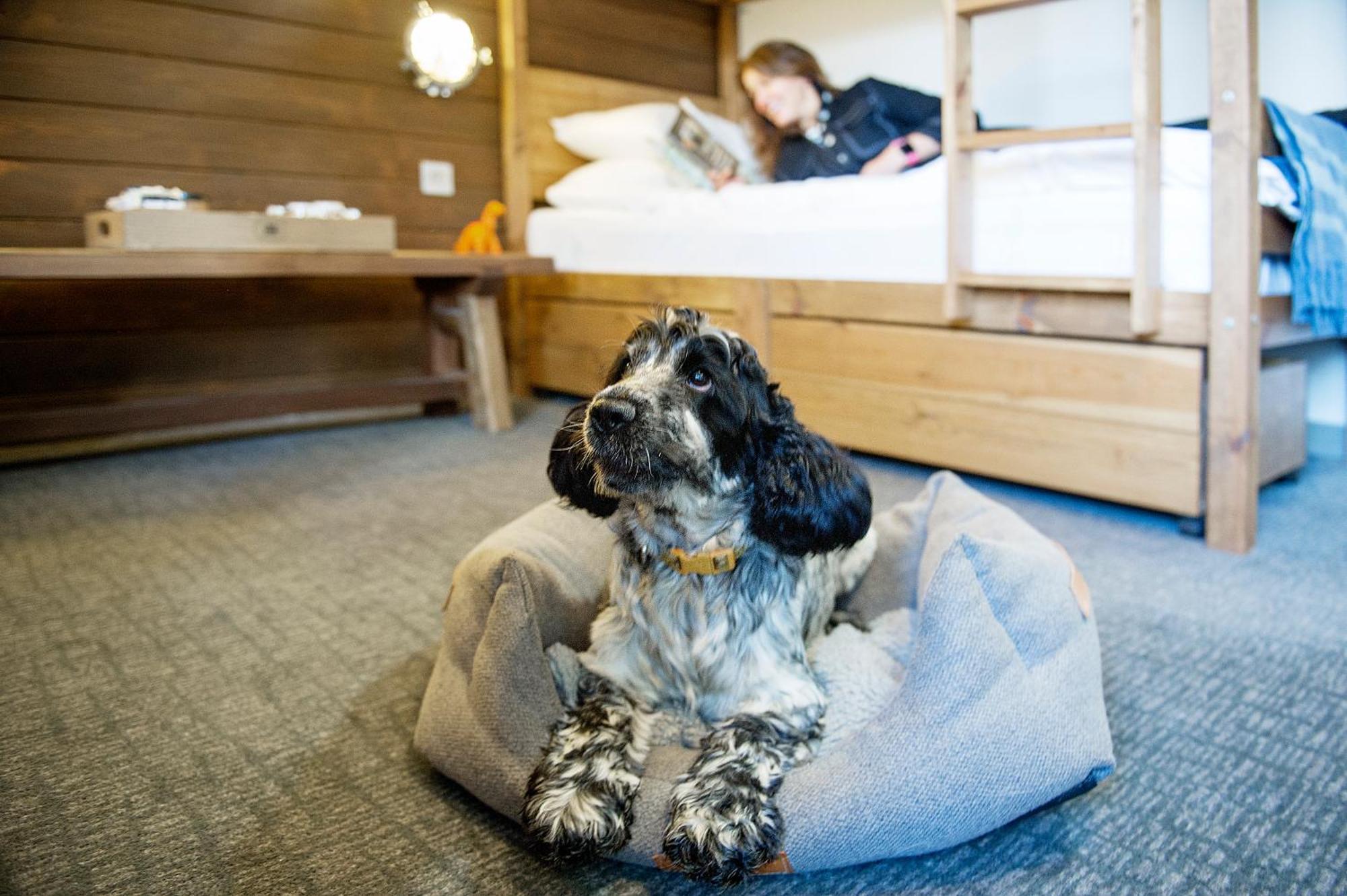 Lock Chambers, Caledonian Canal Centre フォート・オーガスタス 部屋 写真